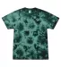 Tie-Dye 1390 Crystal Wash T-Shirt in Crystal jade front view