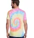 Tie-Dye CD1090 Adult Burnout Festival T-Shirt in Pastel back view
