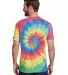 Tie-Dye CD1090 Adult Burnout Festival T-Shirt in Rainbow back view