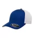 Yupoong-Flex Fit 110M 110® Mesh-Back Cap in Royal/ white side view