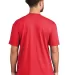 Gildan 67000 Softstyle CVC T-Shirt in Red mist back view