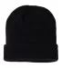 Champion Clothing CS4003 Ribbed Knit Cap in Black back view
