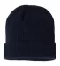 Champion Clothing CS4003 Ribbed Knit Cap in Navy back view