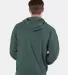 Champion Clothing CD450 Garment Dyed Hooded Sweats Cactus back view