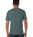 Champion Clothing CD100 Garment Dyed Short Sleeve  in Cactus back view