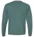 Champion Clothing CD200 Garment Dyed Long Sleeve T Cactus back view