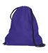 Augusta Sportswear 1905 Cinch Bag in Purple back view