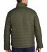 CARHARTT 102208 Gilliam Jacket in Moss back view