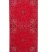 Valucap VC20 ValuMask Gaiter Red Paisley front view