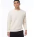 Alternative Apparel 9575RT Men's Champ Eco Teddy S ECO CANVAS front view
