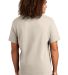 Alstyle 1301 Heavyweight T Shirt by American Appar in Cream back view