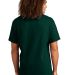 Alstyle 1301 Heavyweight T Shirt by American Appar in Forest back view