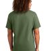 Alstyle 1301 Heavyweight T Shirt by American Appar in Military green back view