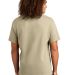 Alstyle 1301 Heavyweight T Shirt by American Appar in Sand back view