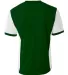 A4 N3017 - Premier Soccer Jersey FOREST/ WHITE back view