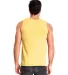 Next Level Apparel 7433 Adult Inspired Dye Tank in Blonde back view