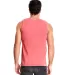 Next Level Apparel 7433 Adult Inspired Dye Tank in Guava back view