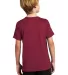 Nike 840178  Youth Legend  Performance Tee Team Maroon back view