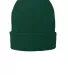 Port & Company CP90L    Fleece-Lined Knit Cap in Athl green front view