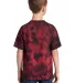 Port & Company PC145Y     Youth Crystal Tie-Dye Te Black/Red back view