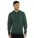 Next Level Apparel 9302 Unisex Classic PCH  Pullov HTHR FOREST GRN front view