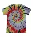 Dyenomite 200TD Rainbow Cut-Spiral Tie-Dyed T-Shir in Energy back view