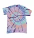 Dyenomite 200TD Rainbow Cut-Spiral Tie-Dyed T-Shir in Mindfulness back view