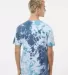 Dyenomite 640LM LaMer Over-Dyed Crinkle Tie Dye T- Gulf back view