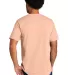 Port & Company PC330    Tri-Blend Tee in Htddstypch back view