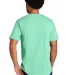 Port & Company PC330    Tri-Blend Tee in Htrjadeite back view