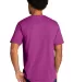 Port & Company PC330    Tri-Blend Tee in Rspbryhthr back view