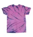 Dyenomite 200SW Sidewinder Tie-Dyed T-Shirt in Andromeda back view