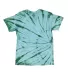 Dyenomite 200SW Sidewinder Tie-Dyed T-Shirt in Hydra back view