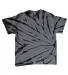 Dyenomite 200SW Sidewinder Tie-Dyed T-Shirt in Zenith back view
