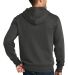 District Clothing DT1103 District    Perfect Weigh in Charcoal back view