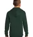District Clothing DT6100Y District   Youth V.I.T.  Forest Green back view