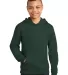 District Clothing DT6100Y District   Youth V.I.T.  Forest Green front view