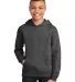 District Clothing DT6100Y District   Youth V.I.T.  Hthrd Charcoal front view
