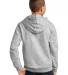 District Clothing DT6100Y District   Youth V.I.T.  Lt Hthr Grey back view