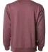 Independent Trading Co. SS1000C Icon Unisex Lightw Port back view