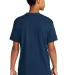 Next Level 3600 Premium Cotton Slim Fit Unisex Tee in Cool blue back view