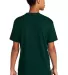 Next Level 3600 Premium Cotton Slim Fit Unisex Tee in Forest green back view