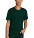 Next Level 3600 Premium Cotton Slim Fit Unisex Tee in Forest green front view