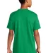 Next Level 3600 Premium Cotton Slim Fit Unisex Tee in Kelly green back view