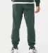 Independent Trading Co. PRM50PTPD Pigment-Dyed Fle Pigment Alpine Green back view