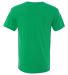 Next Level 6040 Men's Tri-Blend V Neck T Shirts in Envy