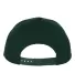Richardson Hats 212 Pro Twill Snapback Cap Dark Green back view