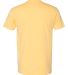 Next Level 6240 CVC V Neck T Shirts in Banana cream back view