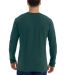 Next Level 3601 Men's Long Sleeve Crew in Forest green back view