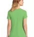 Next Level 6610 The CVC Crew in Apple green back view